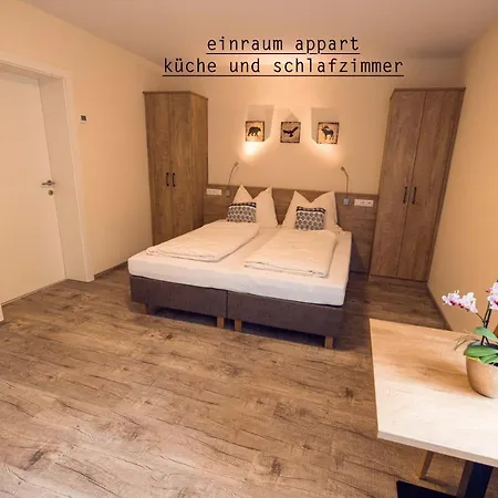 Arena Apartmán Zell am Ziller